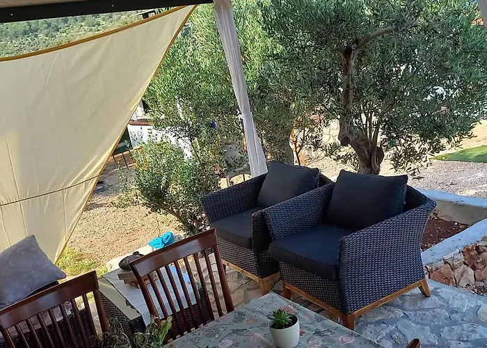 公寓 Strandhaus Sofia - Bain- Zut - Kornati By Interhome